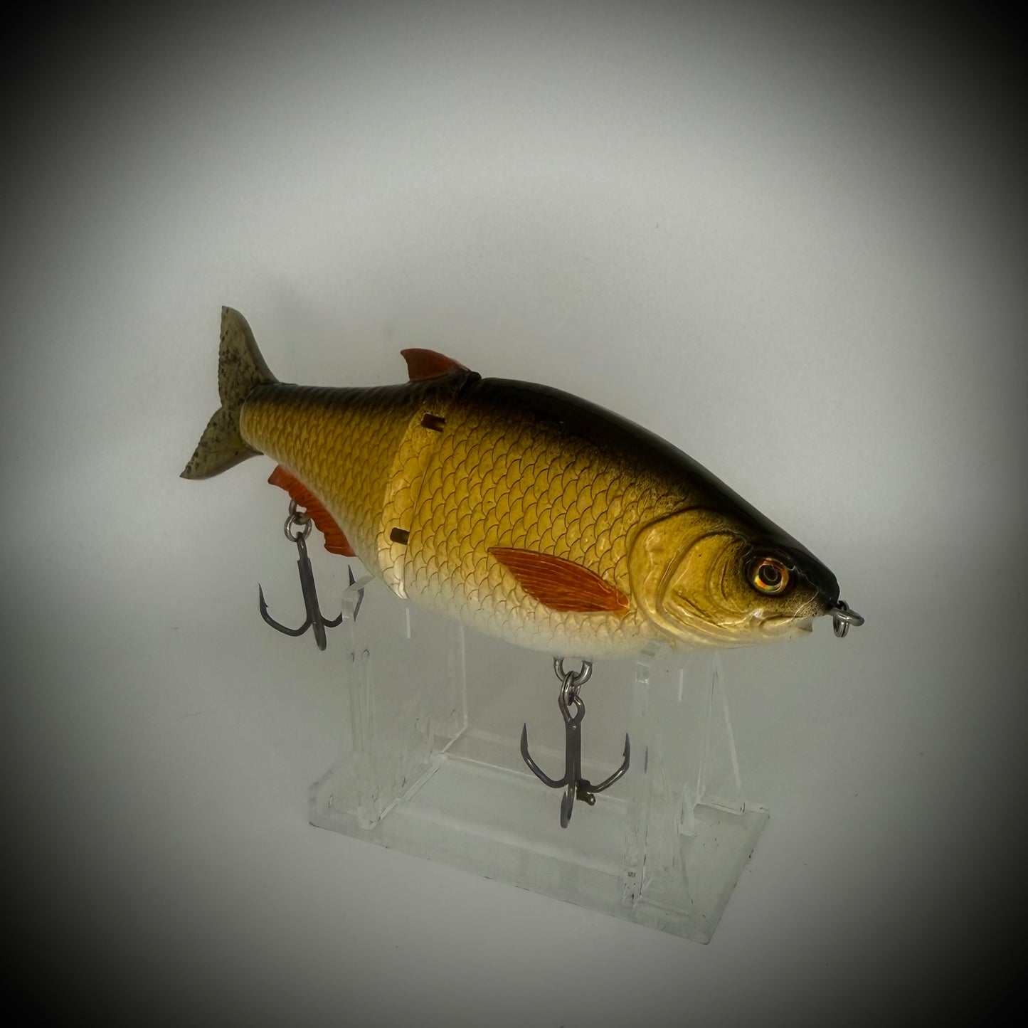GlideBaits-GoldenShiner