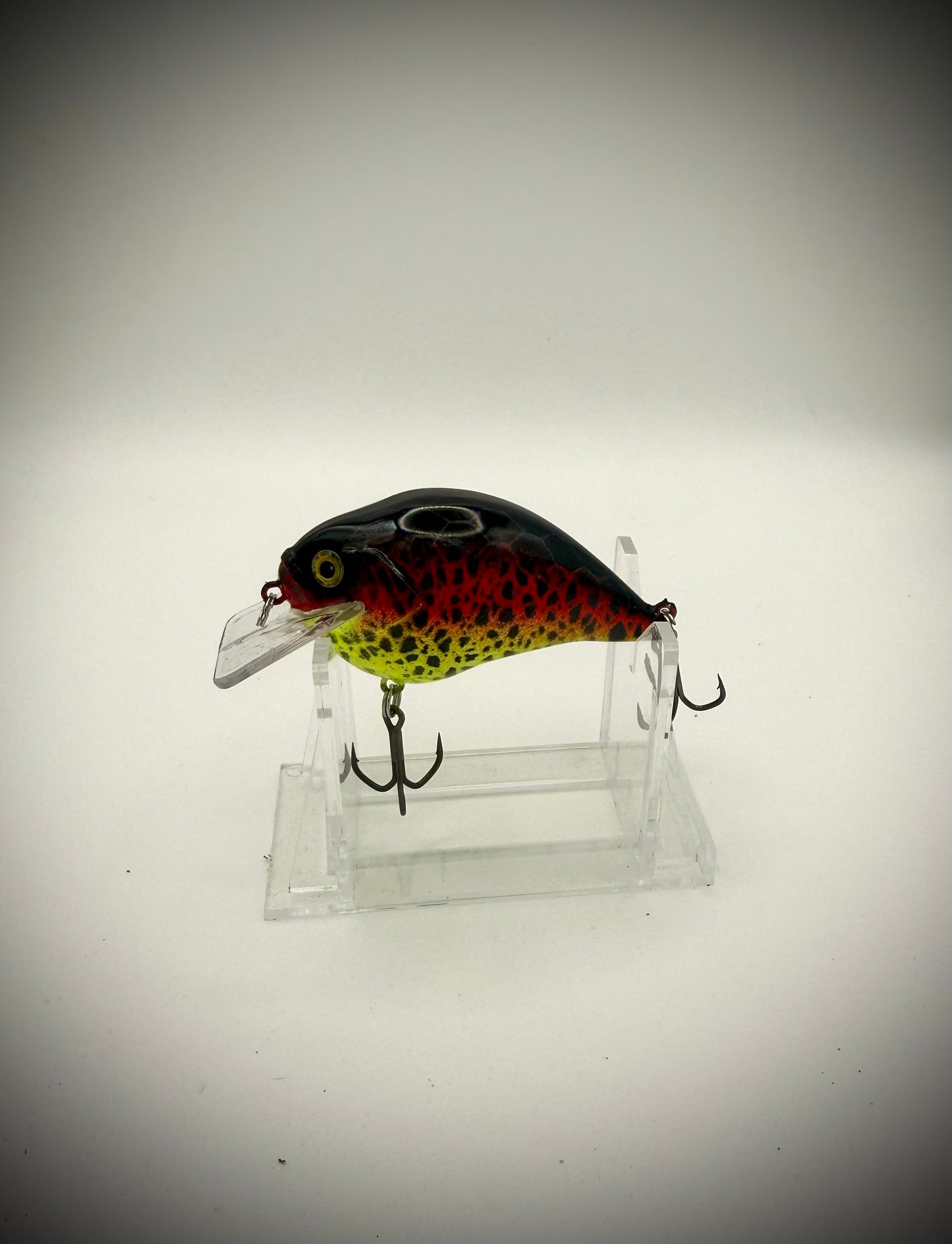 3” Squarebill (Sunburst)