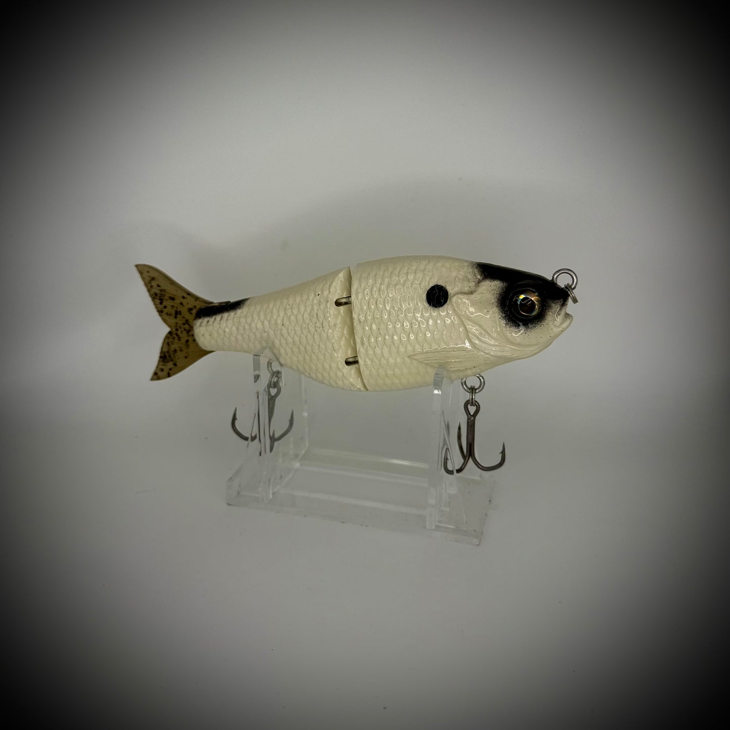 GlideBaits-6” BoneShad (Checkmate)